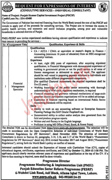 New Govt Jobs PHCIP In Lahore September 2024