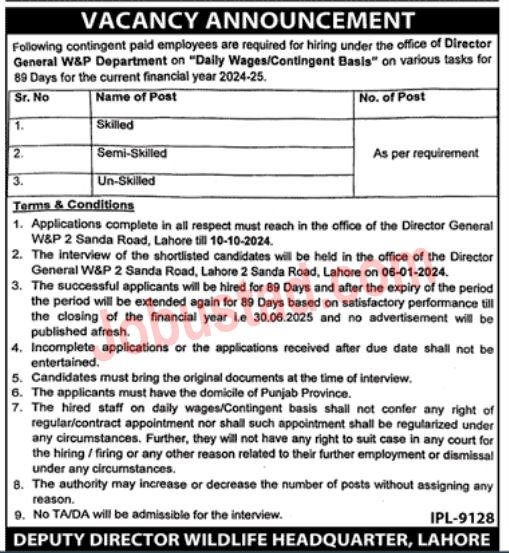 Class 4 New Govt Jobs In Lahore September 2024