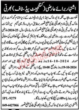 Latest Jobs Live Stock Department Punjab in Kasur October 2024