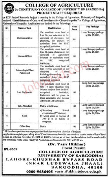 UOS New Jobs University of Sargodha October 2024