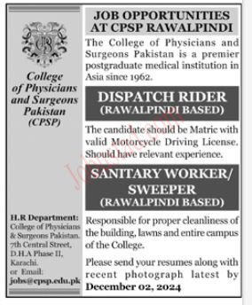 Class 4 New Govt Jobs In Rawalpindi November 2024 