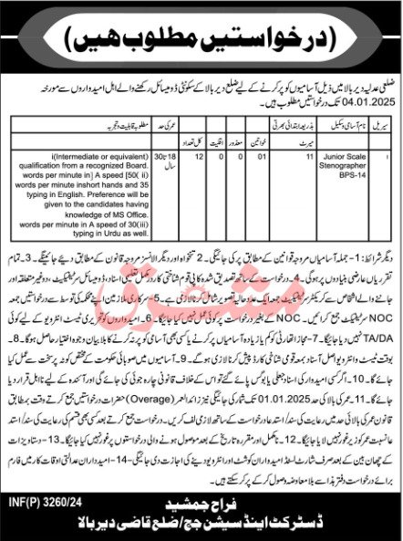 New Govt Jobs In District Courts Dir Bala December 2024